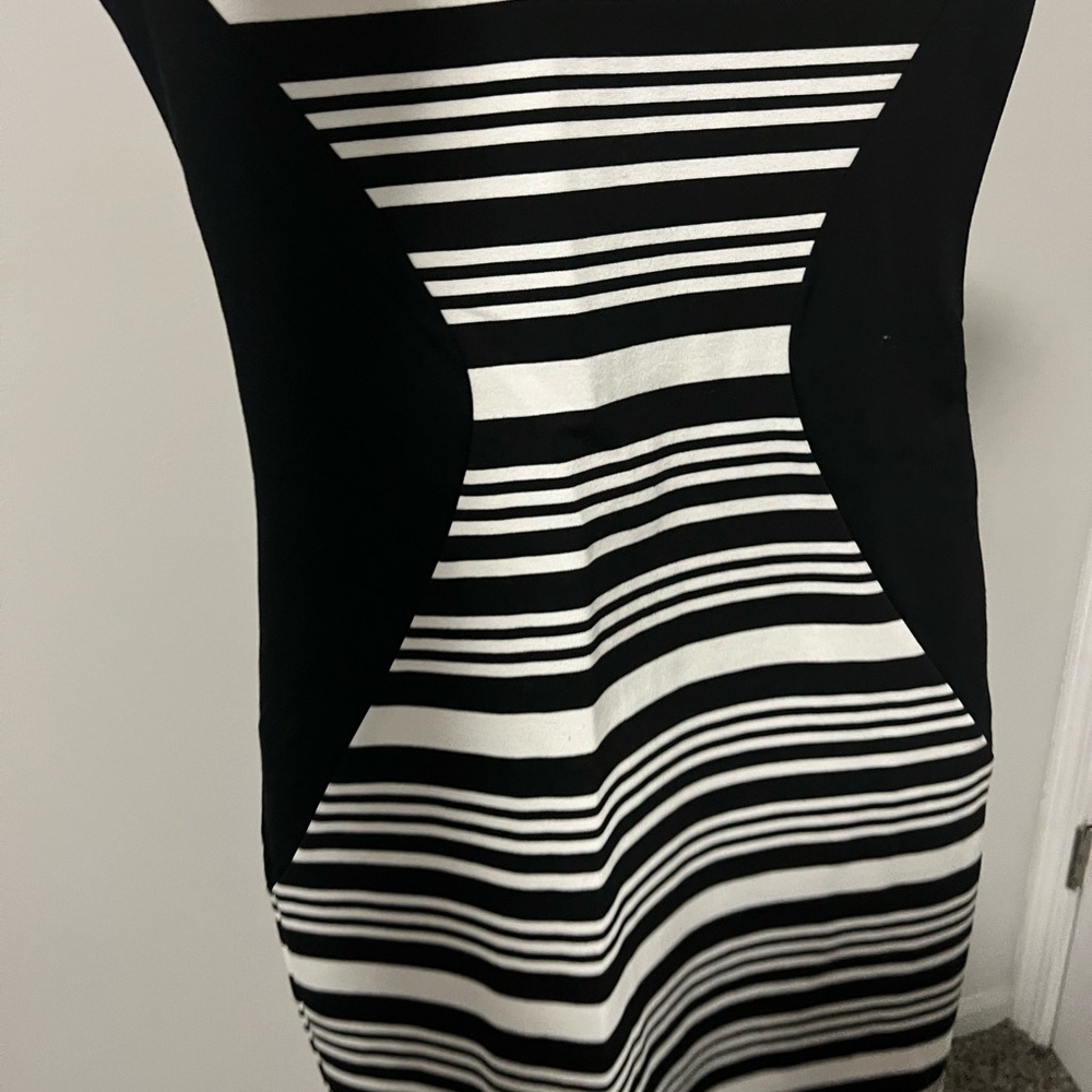 Express Dress - Picture 2 of 6